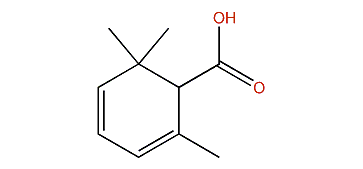 2,6,6-Trimethyl-2,4-cyclohexadienecarboxylic acid